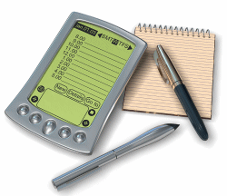 palm250 IBSWIN